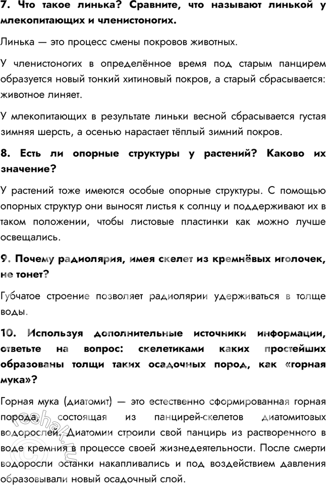 Дополнительное изображение